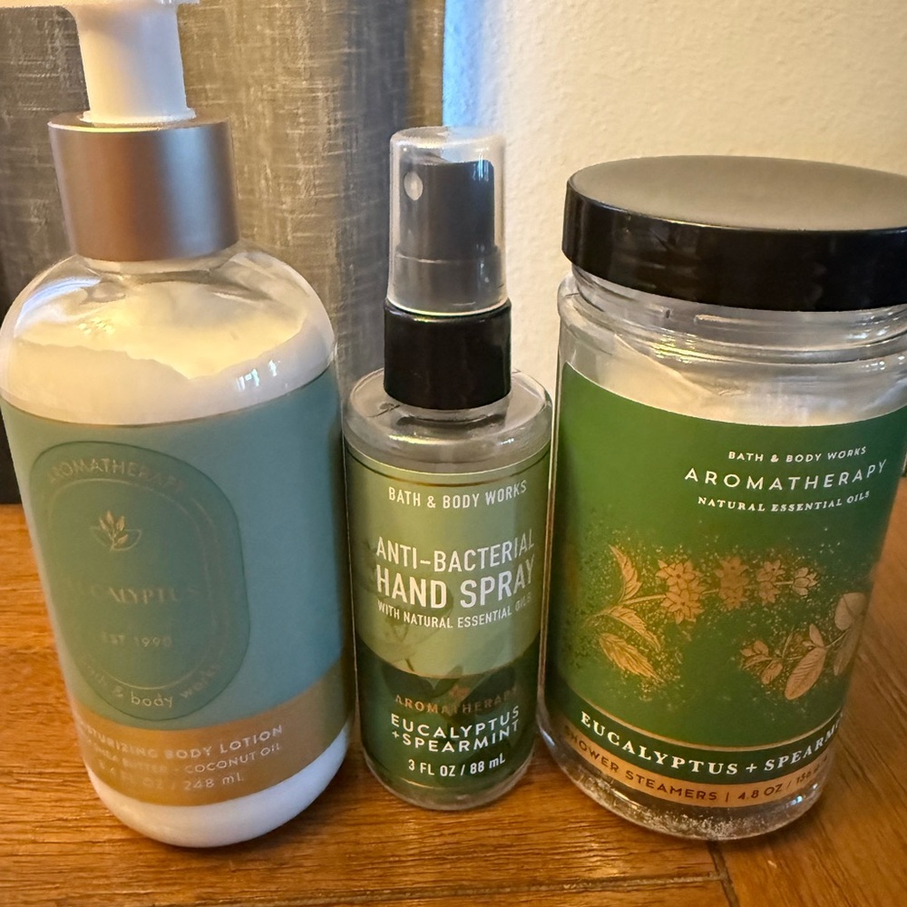 Bath & Body Works Eucalyptus Spearmint Aromatherapy Trio